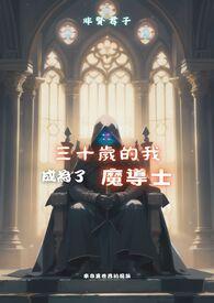三十岁的我成为了魔导士 三十岁的我成为了魔导士