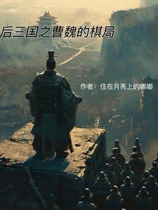 后三国之曹魏的棋局 后三国之曹魏的棋局