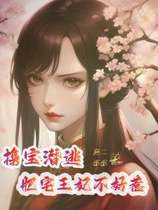 携宝潜逃:肥宅王妃不好惹 携宝潜逃:肥宅王妃不好惹