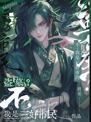 盗墓?不,我是三好市民 盗墓?不,我是三好市民