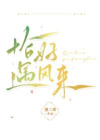 恰好遇风来 恰好遇风来