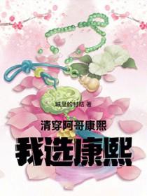 清穿:阿哥,康熙,我选康熙 清穿:阿哥,康熙,我选康熙